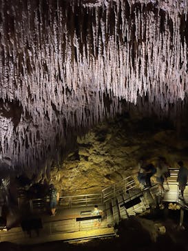 おきなわワールドに投稿された画像（2023/8/12）