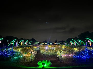 せんだい農業園芸センター　みどりの杜に投稿された画像（2023/8/12）