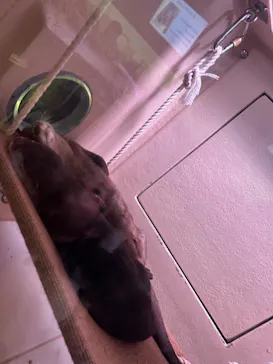 マクセル アクアパーク品川に投稿された画像（2023/8/12）