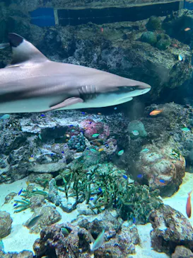 マクセル アクアパーク品川に投稿された画像（2023/8/12）