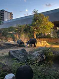 天王寺動物園に投稿された画像（2023/8/12）