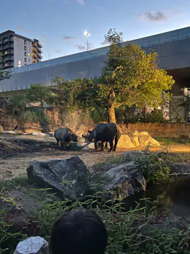 天王寺動物園に投稿された画像（2023/8/12）