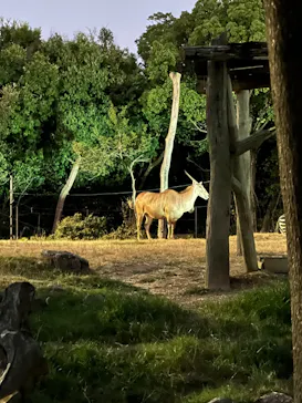 天王寺動物園に投稿された画像（2023/8/12）