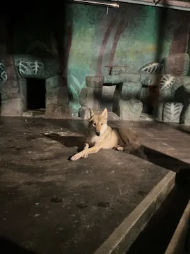 天王寺動物園に投稿された画像（2023/8/12）