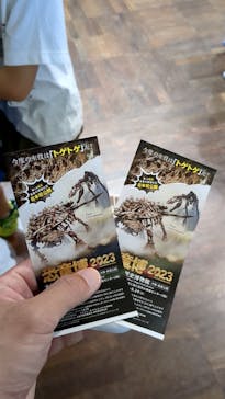 大阪市立自然史博物館に投稿された画像（2023/8/12）