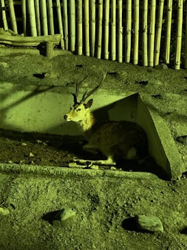 日立市かみね動物園に投稿された画像（2023/8/12）