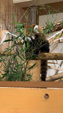 日立市かみね動物園に投稿された画像（2023/8/12）