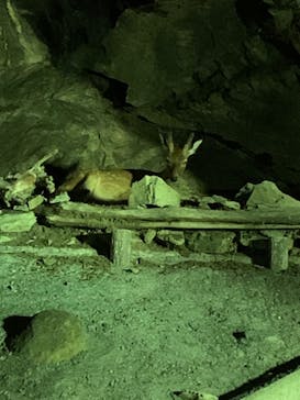 日立市かみね動物園に投稿された画像（2023/8/12）