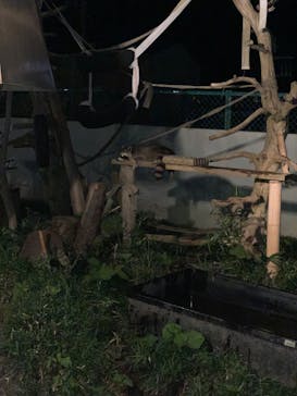 日立市かみね動物園に投稿された画像（2023/8/12）