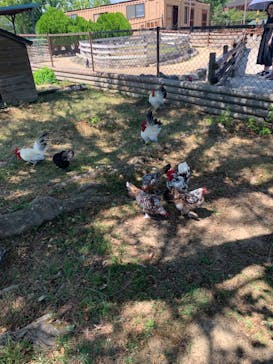 姫路セントラルパークに投稿された画像（2023/8/12）