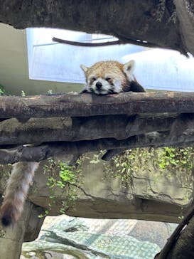 那須どうぶつ王国に投稿された画像（2023/8/12）