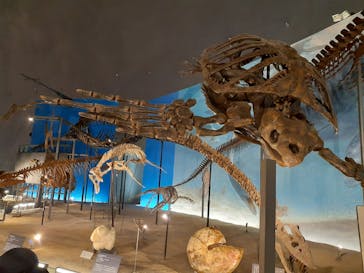 福井県立恐竜博物館に投稿された画像（2023/8/12）