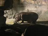 天王寺動物園に投稿された画像（2023/8/12）