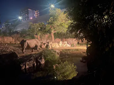 天王寺動物園に投稿された画像（2023/8/12）