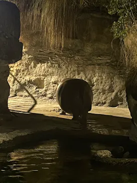 天王寺動物園に投稿された画像（2023/8/12）