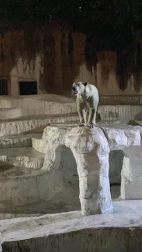 天王寺動物園に投稿された画像（2023/8/12）