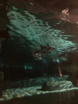 天王寺動物園に投稿された画像（2023/8/12）