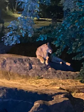 天王寺動物園に投稿された画像（2023/8/12）