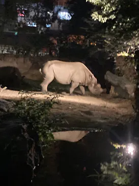 天王寺動物園に投稿された画像（2023/8/12）