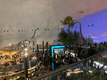 福井県立恐竜博物館に投稿された画像（2023/8/12）