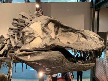 福井県立恐竜博物館に投稿された画像（2023/8/12）