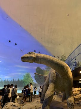 福井県立恐竜博物館に投稿された画像（2023/8/12）
