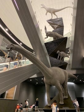 福井県立恐竜博物館に投稿された画像（2023/8/12）