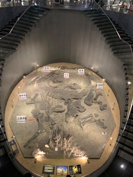 福井県立恐竜博物館に投稿された画像（2023/8/12）