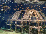 マリンワールド海の中道に投稿された画像（2023/8/12）