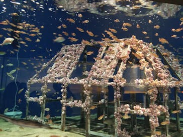 マリンワールド海の中道に投稿された画像（2023/8/12）