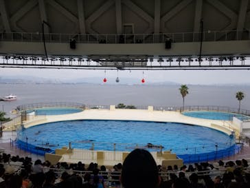 マリンワールド海の中道に投稿された画像（2023/8/12）