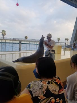 マリンワールド海の中道に投稿された画像（2023/8/12）