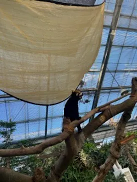 神戸どうぶつ王国に投稿された画像（2023/8/12）