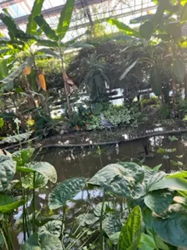 神戸どうぶつ王国に投稿された画像（2023/8/12）