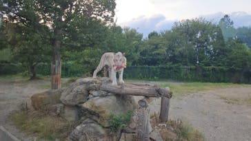 群馬サファリパークに投稿された画像（2023/8/12）