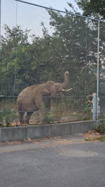 群馬サファリパークに投稿された画像（2023/8/12）