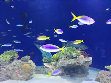 マリンワールド海の中道に投稿された画像（2023/8/12）