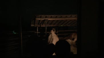 群馬サファリパークに投稿された画像（2023/8/12）