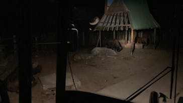 群馬サファリパークに投稿された画像（2023/8/12）