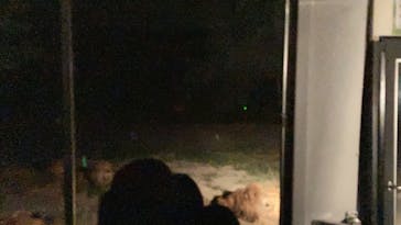 群馬サファリパークに投稿された画像（2023/8/12）