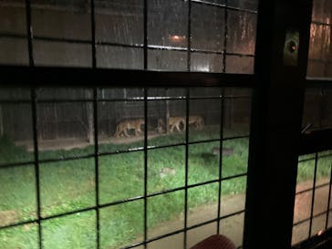 那須サファリパークに投稿された画像（2023/8/12）