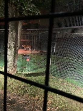 那須サファリパークに投稿された画像（2023/8/12）