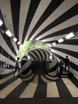 清津峡渓谷トンネルに投稿された画像（2023/8/12）