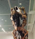 大阪市立自然史博物館に投稿された画像（2023/8/13）