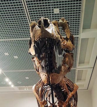 大阪市立自然史博物館に投稿された画像（2023/8/12）