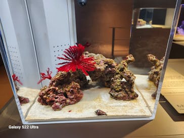 AOAO SAPPOROに投稿された画像（2023/8/12）