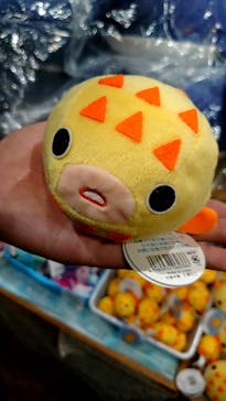 越前松島水族館に投稿された画像（2023/8/12）