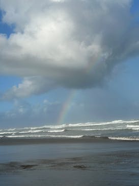 蓮沼ウォーターガーデンに投稿された画像（2023/8/12）