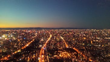 ハルカス300(展望台)に投稿された画像（2023/8/12）