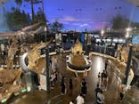 福井県立恐竜博物館に投稿された画像（2023/8/13）